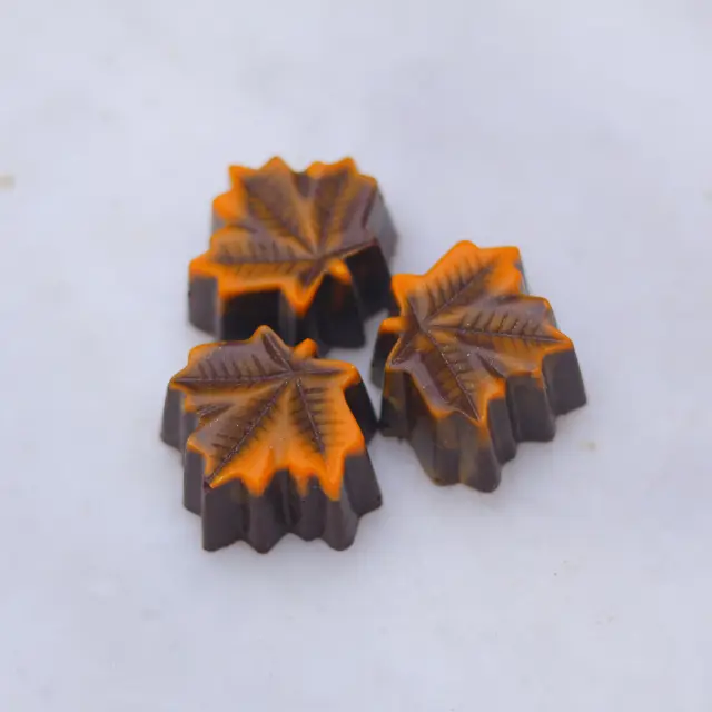 solaris4